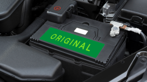 sn_2024_77_foto_blog_1350x759px_11-07_02