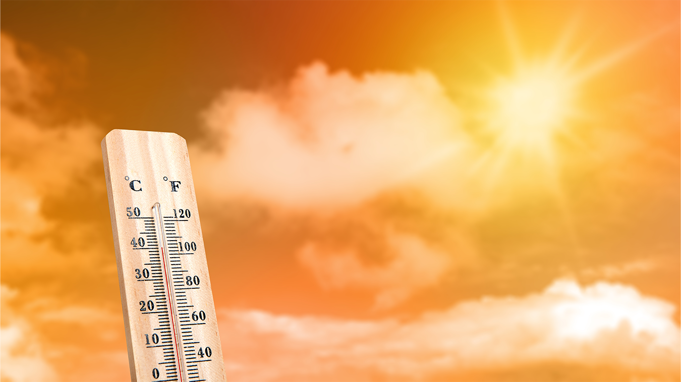 Onda de calor? 7 dicas para proteger seu carro